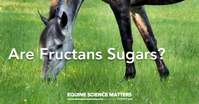 Are Fructans Sugars? | Equine Science Matters™